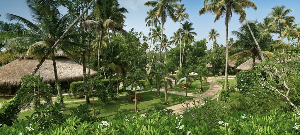 Carnoustie Ayurveda & Wellness Resort Alappuzha 외부 사진